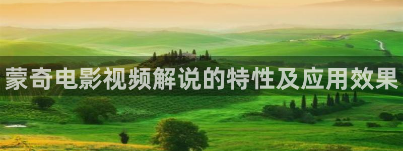 樱花视频网：蒙奇电影视频解说的特性及应用效果