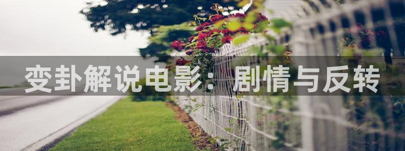 樱花视频n：变卦解说电影：剧情与反转