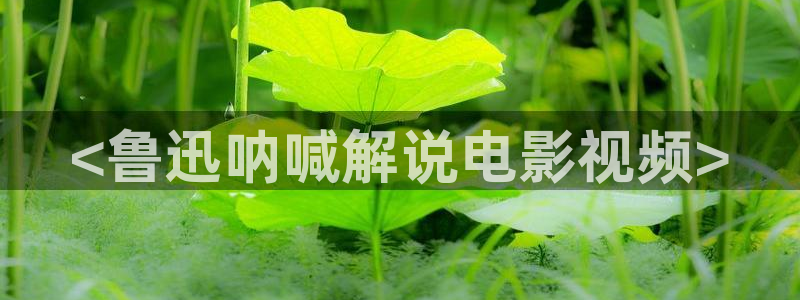 樱花视频,免费动漫：<鲁迅呐喊解说电影视频>