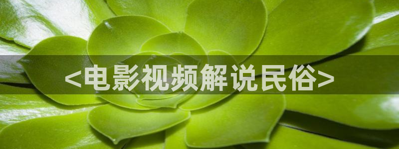 樱花视频最新网址：<电影视频解说民俗>